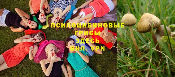 ALPHA PVP Бронницы