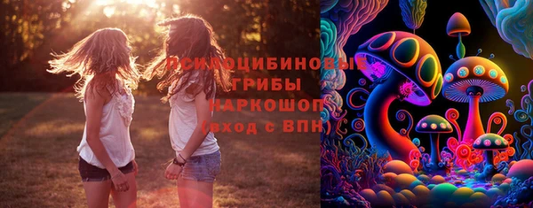 герыч Бородино