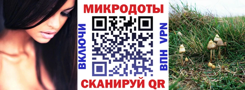Псилоцибиновые грибы Cubensis Норильск